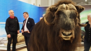 ARKTYKA I ANTARKTYKA - 200 LAT POLSKICH BADAŃ POLARNYCH" - WYSTAWA POLARNA W MUZEUM IM. J. MALCZEWSKIEGO W RADOMIU