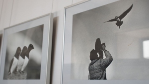 ARKTYKA I ANTARKTYKA - 200 LAT POLSKICH BADAŃ POLARNYCH" - WYSTAWA POLARNA W MUZEUM IM. J. MALCZEWSKIEGO W RADOMIU