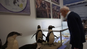 ARKTYKA I ANTARKTYKA - 200 LAT POLSKICH BADAŃ POLARNYCH" - WYSTAWA POLARNA W MUZEUM IM. J. MALCZEWSKIEGO W RADOMIU