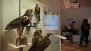 ARKTYKA I ANTARKTYKA - 200 LAT POLSKICH BADAŃ POLARNYCH" - WYSTAWA POLARNA W MUZEUM IM. J. MALCZEWSKIEGO W RADOMIU