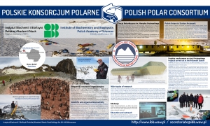 Działalność Polskiego Konsorcjum Polarnego