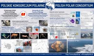 Działalność Polskiego Konsorcjum Polarnego